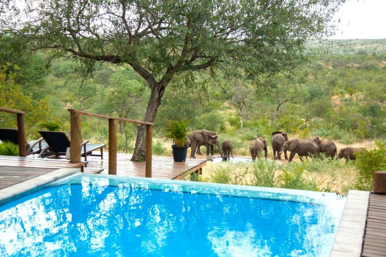 Casart Game Lodge Grietjie Game Reserve Екстер'єр фото
