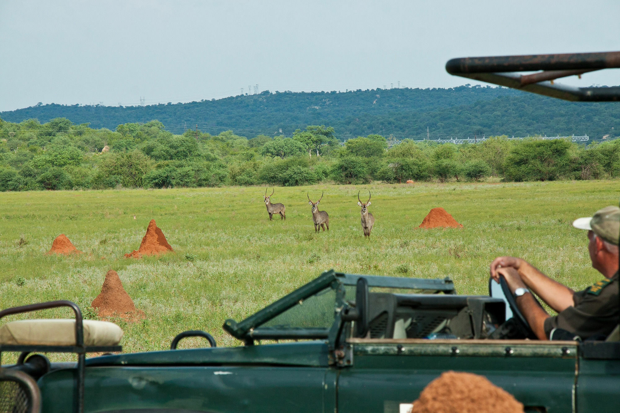 Casart Game Lodge Grietjie Game Reserve Екстер'єр фото